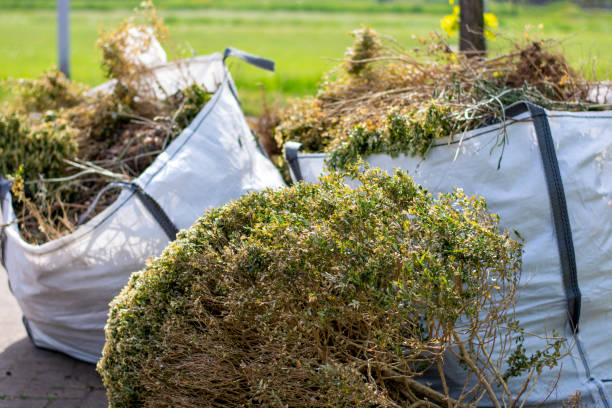 Best Same-Day Junk Removal  in Franklin Center, NJ